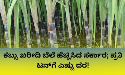 ಪ್ರತಿ ಟನ್‌ ಕಬ್ಬಿನ ದರ 100 ರೂ. ಹೆಚ್ಚಿಸಿ ಸರ್ಕಾರ ಅಧಿಕೃತ ಆದೇಶ