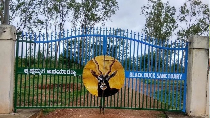 _Ranebennuru Krishnamruga