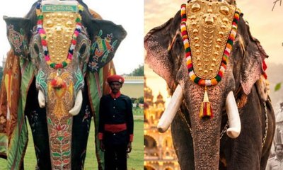 ಮೈಸೂರು ದಸರಾ ನಿಶಾನೆ ಆನೆಯಾಗಿ ʼಅಭಿಮನ್ಯುʼ ಆಯ್ಕೆ