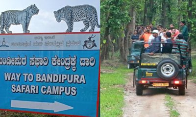 ನಾಗರಹೊಳೆ, ಬಂಡೀಪುರದಲ್ಲಿ ಸಫಾರಿ ಪುನರಾರಂಭಕ್ಕೆ ಗ್ರೀನ್‌ ಸಿಗ್ನಲ್‌