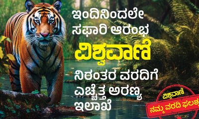 ನಾಗರಹೊಳೆ, ಬಂಡೀಪುರದಲ್ಲಿ ಸಫಾರಿ ಪುನರಾರಂಭಕ್ಕೆ ಗ್ರೀನ್‌ ಸಿಗ್ನಲ್‌