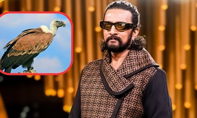 ʻರಣ ಹದ್ದುʼ ಸಂಕಷ್ಟ; ನಟ ಸುದೀಪ್‌ ವಿರುದ್ಧ ಅರಣ್ಯಾಧಿಕಾರಿಗೆ ದೂರು