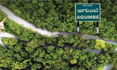 ಬೇಕೆ ಇಂತಹ ವಿನಾಶ! ಹೆದ್ದಾರಿಗಾಗಿ ಕಾಡು ನಾಶ !