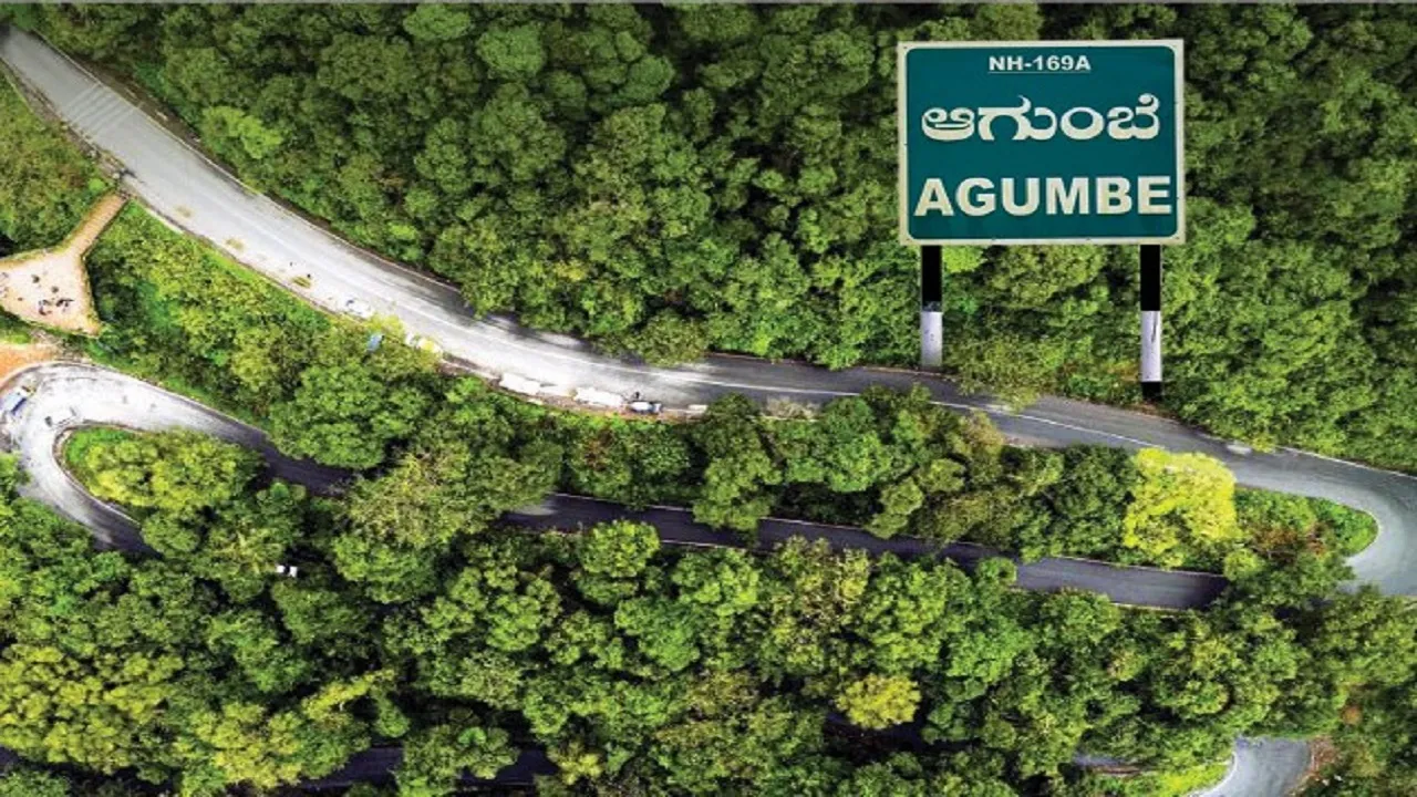 Shashidhara Halady Column: ಬೇಕೆ ಇಂತಹ ವಿನಾಶ! ಹೆದ್ದಾರಿಗಾಗಿ ಕಾಡು ನಾಶ !