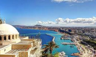 Vishweshwar Bhat Column: ಅಲ್ಜೀರಿಯಾ ಸಿಂಡ್ರೋಮ್ ಅಂದರೇನು ?