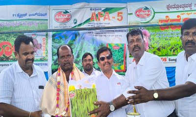 ಅಶೋಕ್ ಬಿತ್ತನೆ ಬೀಜದಿಂದ ಉತ್ತಮ ಇಳುವರಿ, ಅಧಿಕ ಲಾಭ