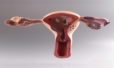 ಉಚಿತ ಆಯುರ್ವೇದ ಸಮಾಲೋಚನೆ ಮತ್ತು ಚಿಕಿತ್ಸಾ ಶಿಬಿರ