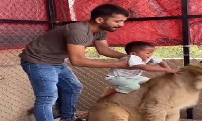 ಸಿಂಹದ ಜತೆ ಪೋಸ್‌ ನೀಡಲು ಮಗುವಿಗೆ ಈತ ಮಾಡಿದ್ದೇನು?