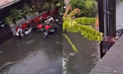 ಬಾಲಿಯಲ್ಲಿ ಭೀಕರ ಮಳೆ: ರಸ್ತೆಯಲ್ಲಿ ಈಜುತ್ತಾ ಬಂದ ಆರು ಅಡಿ ಉದ್ದದ ಹೆಬ್ಬಾವು