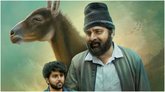 ಮೆಲ್ಬೋರ್ನ್ ಫೆಸ್ಟಿವಲ್‌ಗೆ ಆಯ್ಕೆಯಾದ ಕನ್ನಡದ ‘ಪುಟ್ಟಣ್ಣನ ಕತ್ತೆ’ ಸಿನಿಮಾ