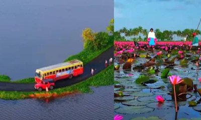 ಕೇರಳದ ಸೌಂದರ್ಯ ಸೆರೆ ಹಿಡಿದ 30 ಸೆಕೆಂಡ್ ಡ್ರೋನ್ ವಿಡಿಯೊ