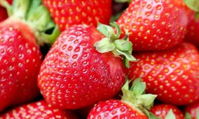 ಸ್ಟ್ರಾಬೆರಿಯ ಆರೋಗ್ಯ ಲಾಭ ತಿಳಿದಿದೆಯೇ?