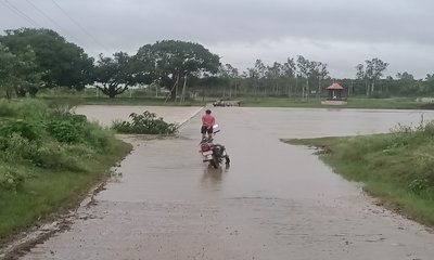 Prof R G Hegde Column: ನದಿ ನೀರು ತಿರುವಿನ ಯೋಜನೆಗಳು ಸಲ್ಲ