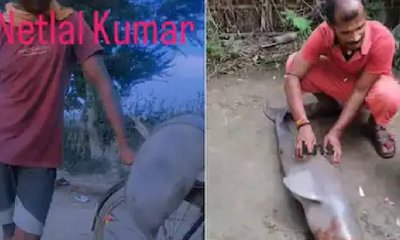 ಸೈಕಲ್‌ಗೆ ಜೀವಂತ ಡಾಲ್ಫಿನ್ ಕಟ್ಟಿ ರೀಲ್ಸ್ ಮಾಡಿದ ಪಾಪಿ