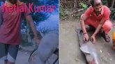 ಸೈಕಲ್‌ಗೆ ಜೀವಂತ ಡಾಲ್ಫಿನ್ ಕಟ್ಟಿ ರೀಲ್ಸ್ ಮಾಡಿದ ಪಾಪಿ