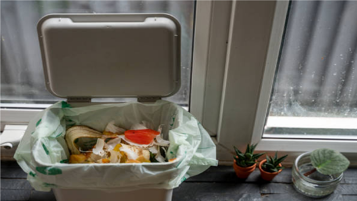 bin1