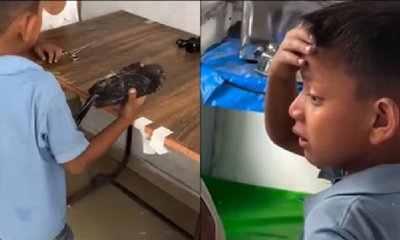 ಪಾರಿವಾಳದ ಜೀವ ಉಳಿಸಲು ಈ ಬಾಲಕ ಮಾಡಿದ್ದೇನು ಗೊತ್ತಾ?