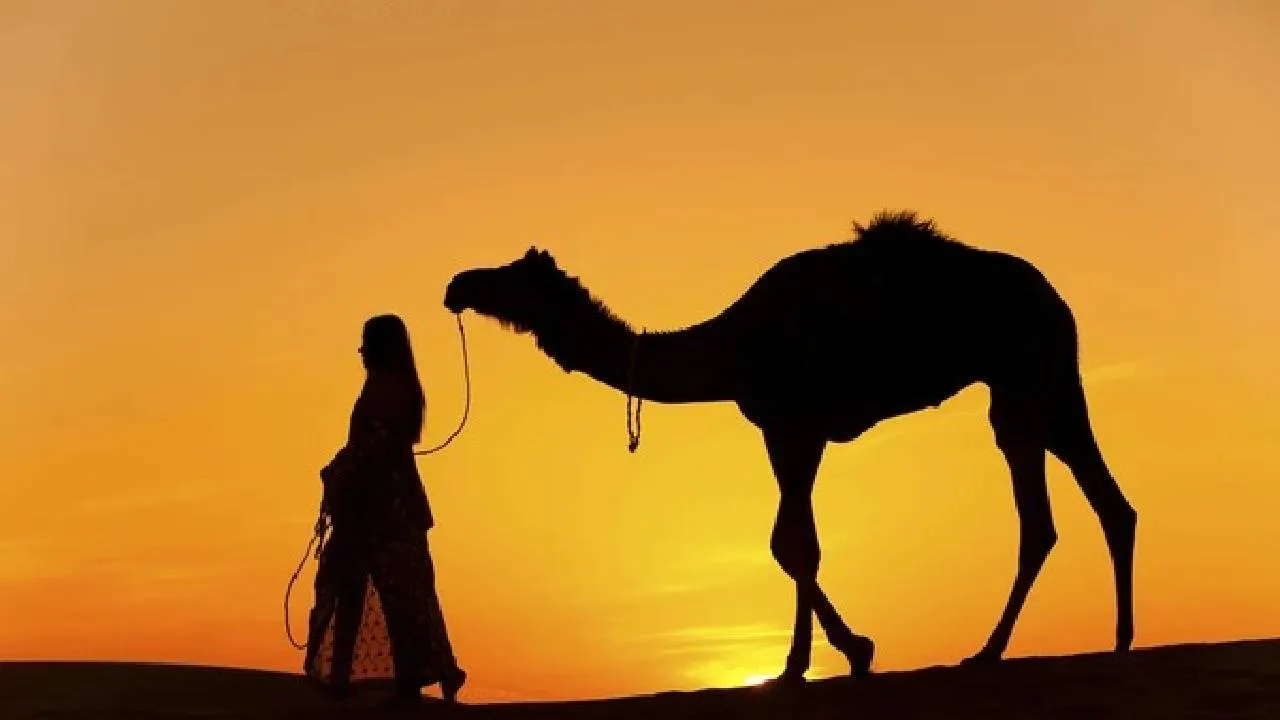 Viral Video: ಆಹಾರ ನೀಡಲು ಬಂದ ಮಹಿಳೆಯ ತಲೆ ಕಚ್ಚಿದ ಒಂಟೆ; ಅಷ್ಟಕ್ಕೂ ಆಗಿದ್ದೇನು?