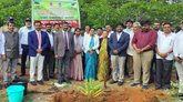 ಐದು ಲಕ್ಷ ಸಸಿಗಳನ್ನು ನೆಡುವ ಮಹತ್ವಾಕಾಂಕ್ಷಿ ಯೋಜನೆಗೆ ಚಾಲನೆ