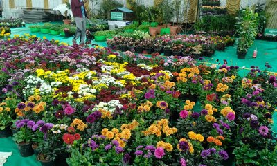 77ನೇ ಗಣರಾಜ್ಯೋತ್ಸವಕ್ಕೆ ಜಿಲ್ಲಾಕ್ರೀಡಾಂಗಣ ಸರ್ವರೀತಿಯಲ್ಲೂ ಸಜ್ಜು