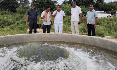 ಹರಿದು ಬರುತ್ತಿರುವ ಹೆಚ್.ಎನ್ ವ್ಯಾಲಿ ನೀರಿನಿಂದ ಕೆರೆಗಳಲ್ಲಿ ಜಲ-ಕಳೆ