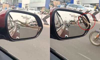 ಚಲಿಸುವ ಕಾರಿನ ಮಿರರ್‌ನಿಂದ ಹೊರ ಬಂದ ಹಾವು- ವಿಡಿಯೋ ವೈರಲ್