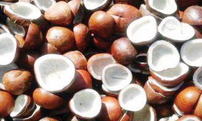 ಕೊಬ್ಬರಿ ಬೆಲೆ ಏರಿಕೆ, ತೆಂಗಿನಕಾಯಿ ದರ ಇಳಿಕೆ