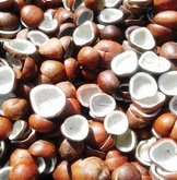 ಕೊಬ್ಬರಿ ಬೆಲೆ ಏರಿಕೆ, ತೆಂಗಿನಕಾಯಿ ದರ ಇಳಿಕೆ