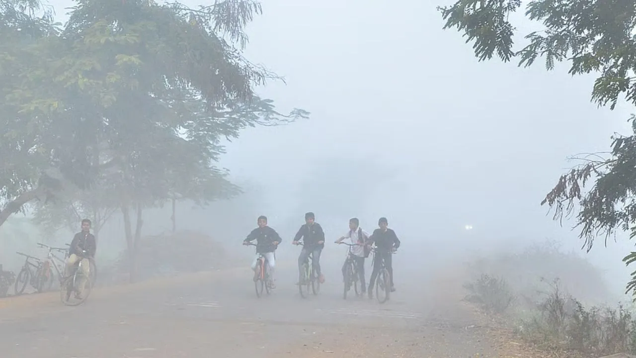 Karnataka Weather: ಬೀದರ್‌ನಲ್ಲಿ ಮುಂದಿನ 4 ದಿನ ಶೀತ ಗಾಳಿ ಎಚ್ಚರಿಕೆ, ಉಳಿದೆಡೆ ಒಣ ಹವೆ