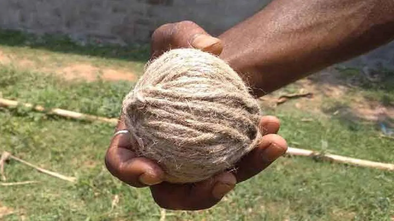 bomb blast: ಬಾಲ್‌ ಎಂದು ಭಾವಿಸಿ ಕ್ರಿಕೆಟ್‌ ಆಡಿದ ಬಾಲಕನಿಗೆ ನಾಡಬಾಂಬ್‌ ಸ್ಫೋಟಿಸಿ ಗಾಯ