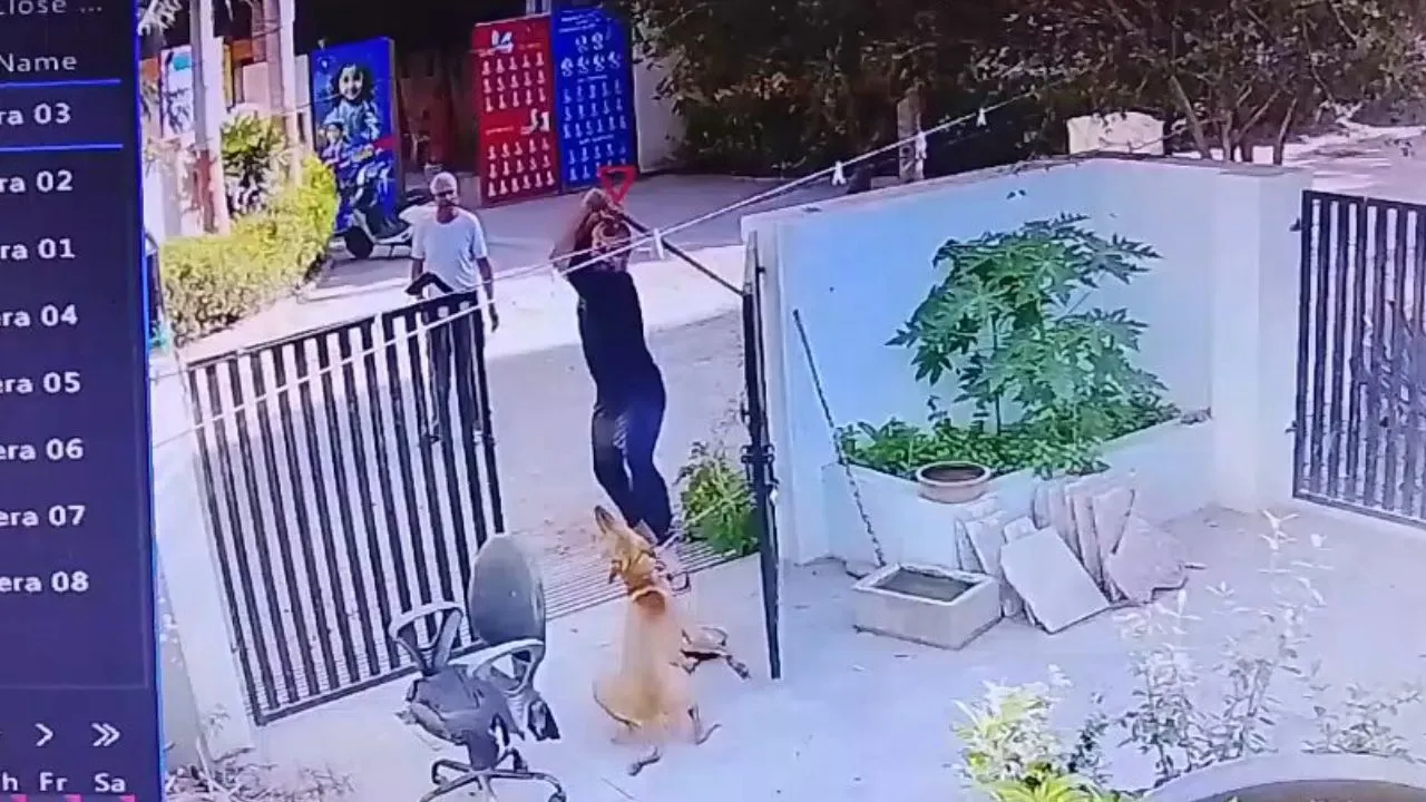 ಮನೆಯ ಗೇಟ್‌ಗೆ ಕಟ್ಟಿದ ನಾಯಿಗೆ ದೊಣ್ಣೆಯಿಂದ ಹೊಡೆದ ಅಪ್ಪ-ಮಗ; ಕ್ರೂರ ಕೃತ್ಯ ಕ್ಯಾಮರಾದಲ್ಲಿ ಸೆರೆ