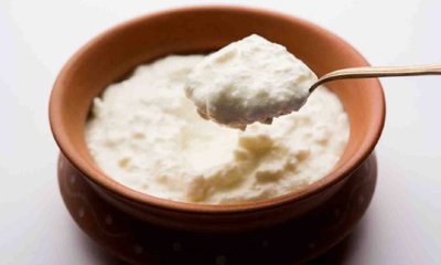 ಚಳಿಗಾಲದಲ್ಲಿ ಮೊಸರಿನ ಬಳಕೆ ಉತ್ತಮವೇ?