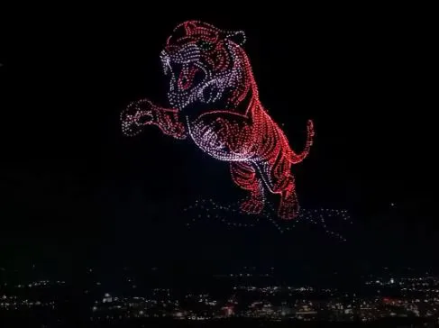 Mysuru Dasara 2025: 3 ಸಾವಿರ ಅತ್ಯಾಕರ್ಷಕ ಡ್ರೋನ್‌ ಪ್ರದರ್ಶನ; ಗಿನ್ನೆಸ್‌ ದಾಖಲೆ ಬರೆದ ಈ ಬಾರಿಯ ದಸರಾ - Image 5