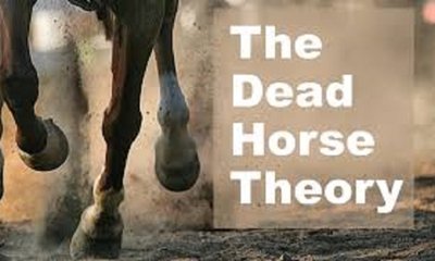 Vishweshwar Bhat Column: ಡೆಡ್‌ ಹಾರ್ಸ್‌ ಥಿಯರಿ ಅಂದರೇನು ?