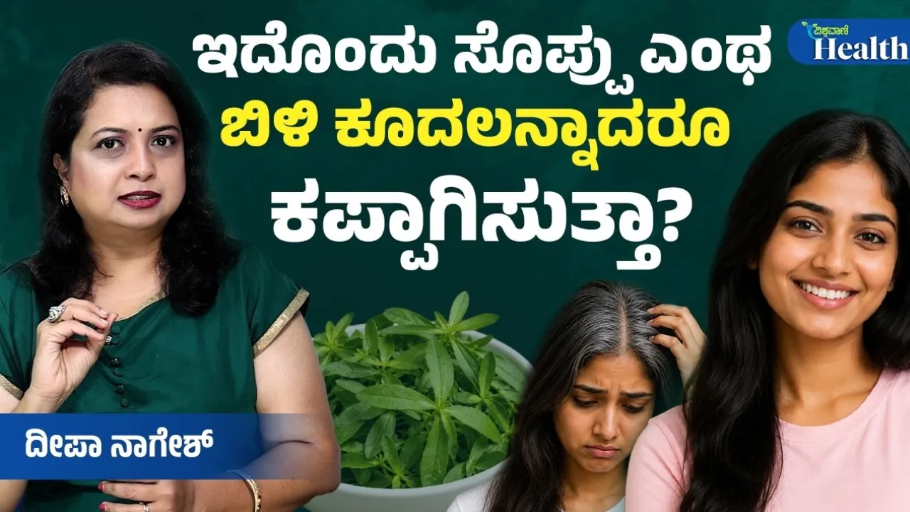Vishwavani Health: ಬಿಳಿ ಕೂದಲನ್ನು ಕಪ್ಪು ಮಾಡುತ್ತೆ ಈ ಒಂದು ಮ್ಯಾಜಿಕ್‌ ಸೊಪ್ಪು; ಕಾಡಲ್ಲಿ ಮಾತ್ರವಲ್ಲ ನಾಡಲ್ಲೂ ಸಿಗುತ್ತೆ! ವಿಡಿಯೊ ನೋಡಿ