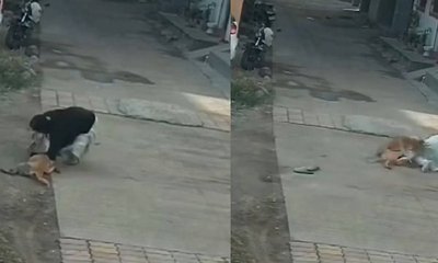 ಮಹಿಳೆಯ ಮೇಲೆ ಬೀದಿನಾಯಿಗಳ ಅಟ್ಟಹಾಸ: ಭಯಾನಕ ವಿಡಿಯೊ!