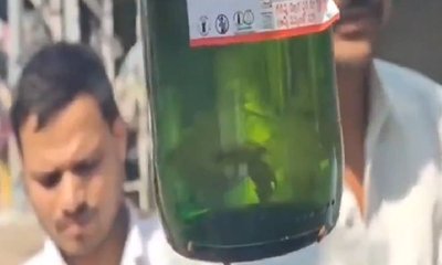 ಬಿಯರ್ ಬಾಟಲಿಯೊಂದಿಗೆ ಮೀನು ಉಚಿತ; ಆಫರ್‌ ಕೇಳಿ ದಂಗಾದ್ರಾ?