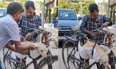 ಅನಾರೋಗ್ಯದಿಂದ ಬಳಲುತ್ತಿದ್ದ ನಾಯಿಗೆ ಚಿಕಿತ್ಸೆ ನೀಡಿದ ಮುಂಬೈ ವ್ಯಕ್ತಿ