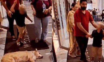 ಮಲಗಿದ್ದ ಬೀದಿ ನಾಯಿಗೆ ಕಲ್ಲು ಎಸೆದ ಪುಟ್ಟ ಬಾಲಕ: ನೆಟ್ಟಿಗರು ಕಿಡಿ