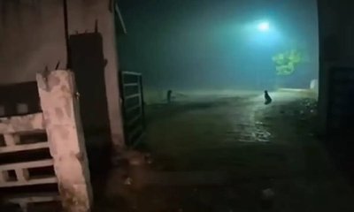 ಸ್ಮಶಾನಕ್ಕೆ ಬಿರಿಯಾನಿ ಆರ್ಡರ್ ಮಾಡಿದ ಮಹಿಳೆ: ಡೆಲಿವರಿ ಬಾಯ್ ಗೆ ಶಾಕ್!