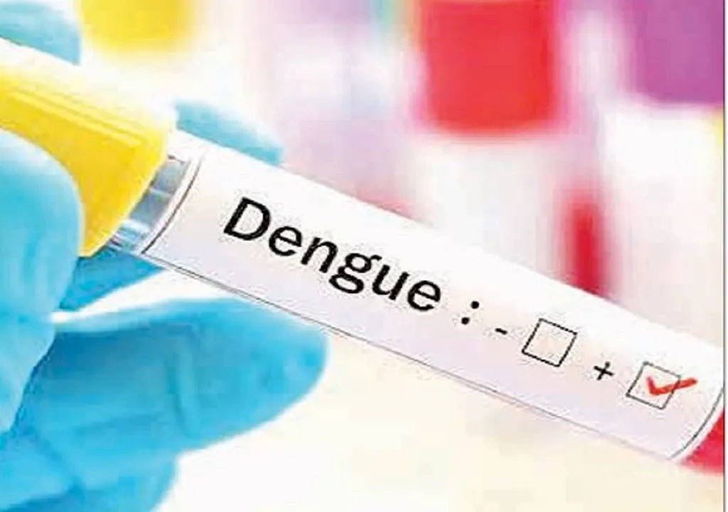 dengue lead