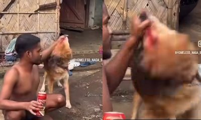 ಬಲವಂತವಾಗಿ ನಾಯಿಗೆ ಬಿಯರ್ ಕುಡಿಸಿದ ವ್ಯಕ್ತಿ;