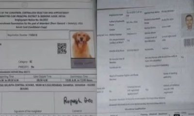 ನೇಮಕಾತಿ ಪರೀಕ್ಷೆಯ ಪ್ರವೇಶ ಪತ್ರದಲ್ಲಿ ನಾಯಿ ಫೋಟೋ!