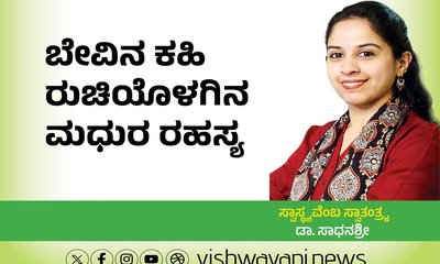 ಬೇವಿನ ಕಹಿ ರುಚಿಯೊಳಗಿನ ಮಧುರ ರಹಸ್ಯವನ್ನು ಬಲ್ಲಿರಾ ?