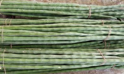 ನುಗ್ಗೆಕಾಯಿ ಕೆ.ಜಿ ಗೆ 500 ರು.