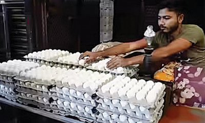 ಮೊಟ್ಟೆ ಬೆಲೆ ದಿಢೀರ್‌ ಕುಸಿತ: ಗ್ರಾಹಕರು ನಿಟ್ಟುಸಿರು