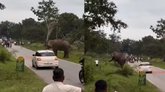 ಸೆಲ್ಫಿಗಾಗಿ ಪ್ರಾಣವನ್ನೇ ಪಣಕ್ಕಿಟ್ಟ ಭೂಪ