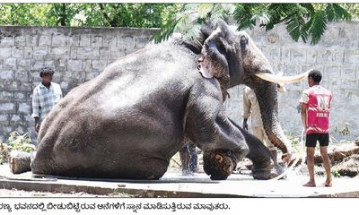 ಇಂದು ಅರಮನೆಗೆ ಗಜಪಡೆ ಪ್ರವೇಶ