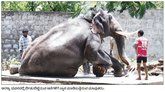 ಇಂದು ಅರಮನೆಗೆ ಗಜಪಡೆ ಪ್ರವೇಶ
