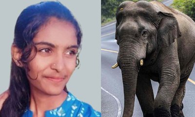 ಮಡಿಕೇರಿಯಲ್ಲಿ ಆನೆ ದಾಳಿಯಿಂದ ಪ್ರಥಮ ಪಿಯುಸಿ ವಿದ್ಯಾರ್ಥಿನಿ ಸಾವು